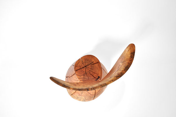 C1135 · Norway Maple · Jörg Pietschmann