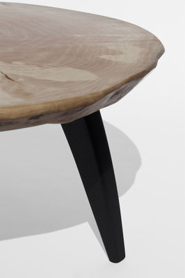 T1477 · Elm, Bog Oak · Jörg Pietschmann