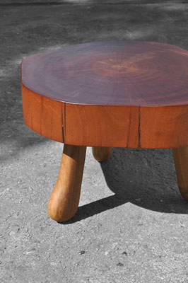 culptural art table T1529 – an extraordinary functional sculpture and unique centerpiece blending high-tech precision with a touch of the wild, created for galleries and art buyers by Jörg Pietschmann.