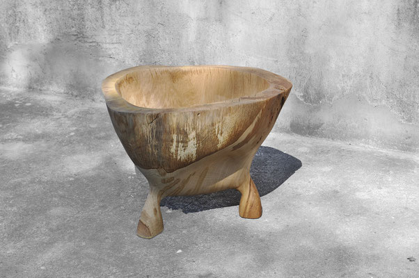 V1356 · Oak · Jörg Pietschmann