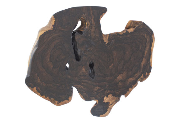 T2551 · Zirikote, Bog Oak · Jörg Pietschmann