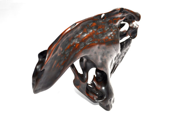Abstract tropical driftwood sculpture S1202 by Jörg Pietschmann, featuring a dynamic, arched organic form made of highly polished dark wood with vibrant amber-orange inclusions, natural hollows, and unique texturing, isolated on a white background.