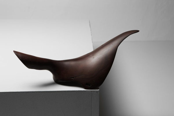 Abstract tropical driftwood sculpture S0137 by Jörg Pietschmann, featuring a sleek, dark brown biomorphic shape resembling a stylized bird or saddle with smooth curves and a natural grain finish on a white studio background.