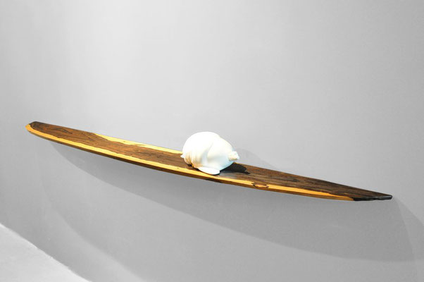 W0099 · Ziricote · Jörg Pietschmann