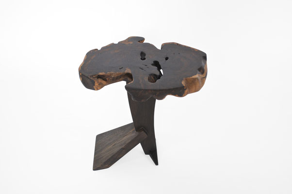 T2551 · Zirikote, Bog Oak · Jörg Pietschmann