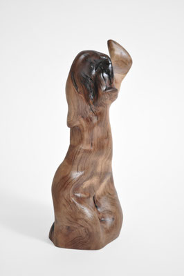 S1399 · Trop.Driftwood · Jörg Pietschmann