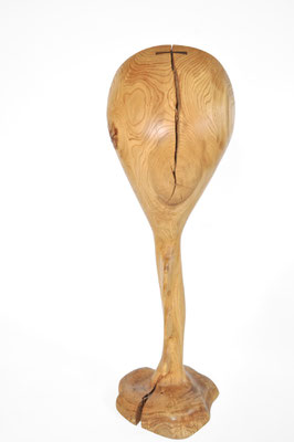 V1669 · Oak · Jörg Pietschmann