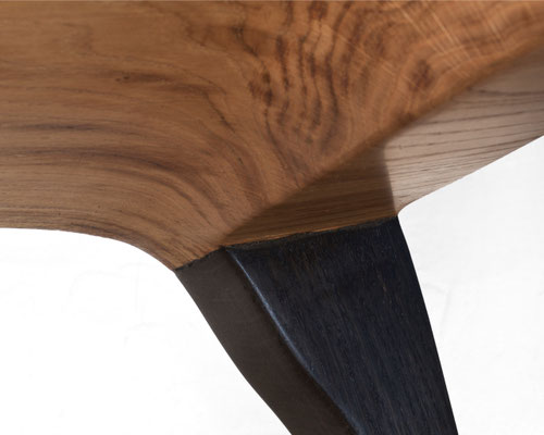 C2332 · Oak, Bog Oak · Jörg Pietschmann
