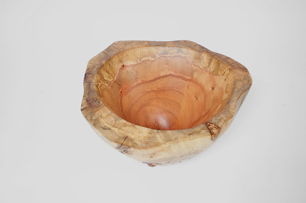 V1315 · Norway Maple· Jörg Pietschmann