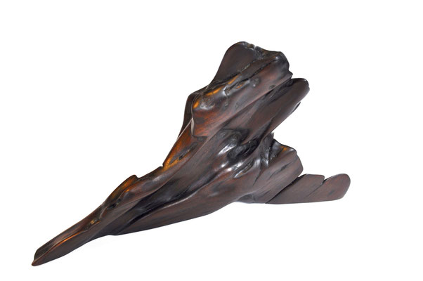 S1061 · Tropical Driftwood · Jörg Pietschmann
