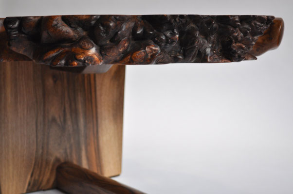 T1182 · Asian Walnut, European Walnut · Jörg Pietschmann