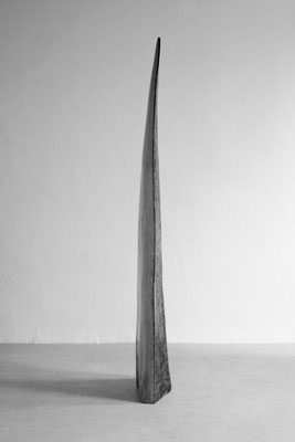 Tall, minimalist organic wood sculpture by Jörg Pietschmann, shaped like a slender, gently curved tusk or blade, displaying a stark contrast between a rough, textured brown exterior and a smooth, light natural wood profile, standing in a studio room.