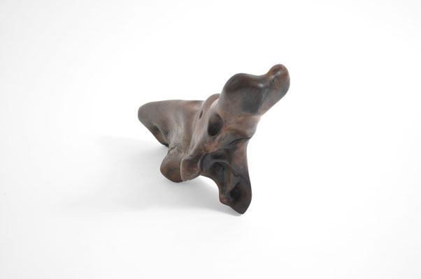 abstract biomorphic burl wood sculpture by Jörg Pietschmann, showcasing dark polished organic shapes and deep natural cavities on a white background.