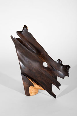 Abstract tropical foundwood sculpture S1083 by Jörg Pietschmann, featuring a striking dual-tone contrast between smooth dark-brown polished heartwood and a light honey-colored sapwood base, with a central organic hole and fluid, jagged edges on a white ba