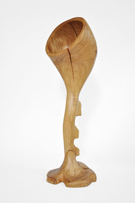 V1669 · Oak · Jörg Pietschmann
