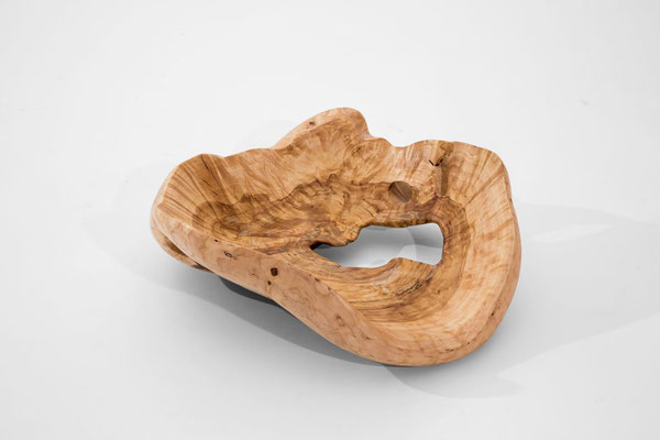 V1101· Birch · Jörg Pietschmann