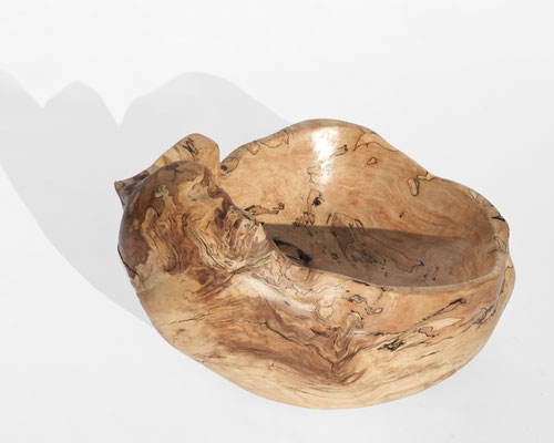 V21034 · Beech · Jörg Pietschmann