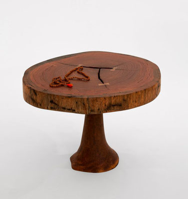 T1104 · Ebiara, Australian Grass Tree · Jörg Pietschmann