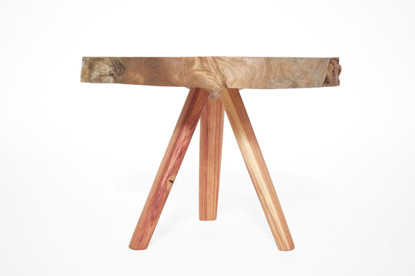 T2591  · Lagerstromie, Rosewood · Jörg Pietschmann