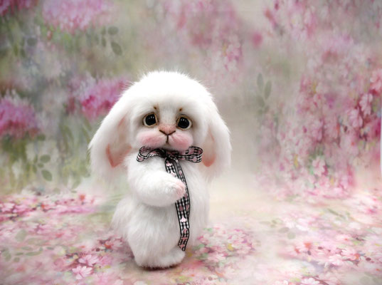 Hase "Abelia"