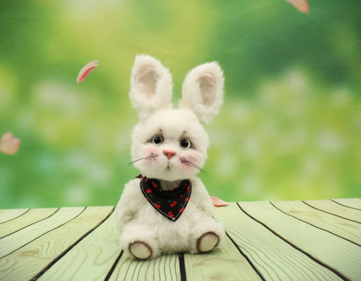 Hase "Daffy"