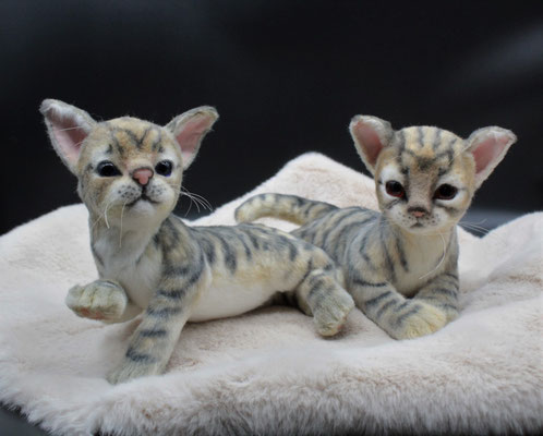 Archie und Nala