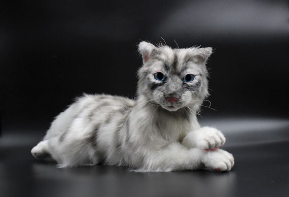 Kater "Leo"(nicht vorrätig)