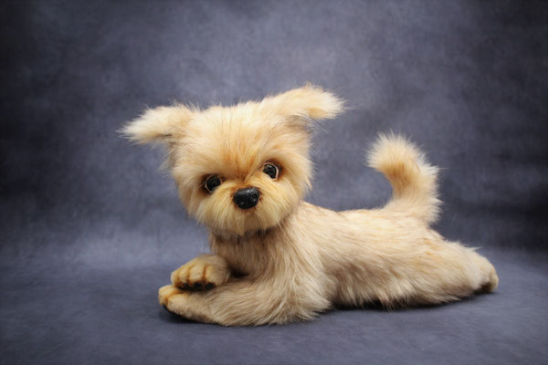 Hundchen "Litschi"(nicht vorrätig)