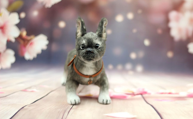Hund "Aura"(nicht vorrätig)