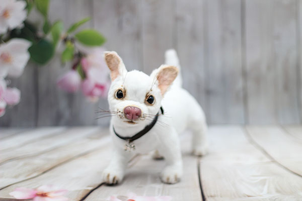 Hund "Chloe"(nicht vorrätig)
