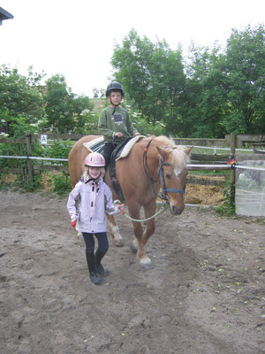 Ein Mädchen aus dem Hippolini II Kurs führt einen Jungen auf einem braunen Pferd im Zirkel. 