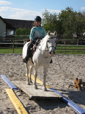 Die Reiterin ist ganz aufmerksam mit ihrem Pony auf der Wippe.