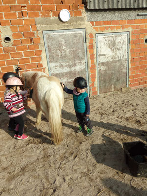 Zwei Kinder putzen das Pony Speedy für die Reitstunde.