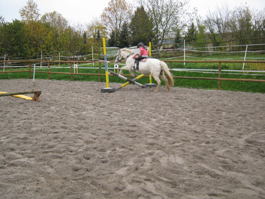 Die Reiterin springt alleine mit dem weißen Pony über das Hindernis. 