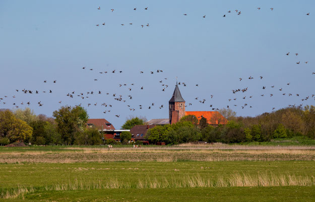 Westerhever 