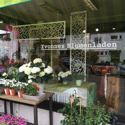 Gestaltetes und beklebtes Floristen-Fenster mit weißer Folie und Logo
