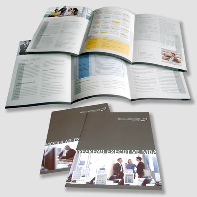 MANNHEIM BUSINESS SCHOOL, Infofolder