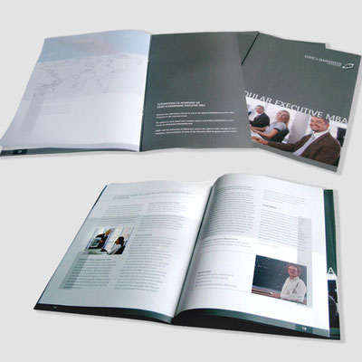 MANNHEIM BUSINESS SCHOOL, Infobroschüre