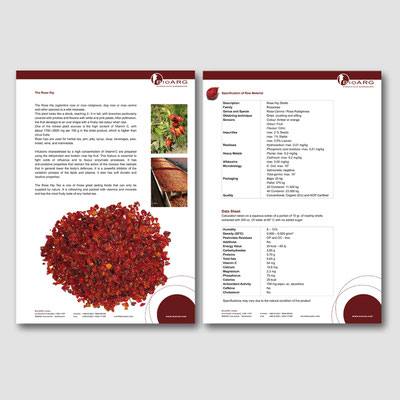 Gestalteter Verkaufsflyer von BioARG Köln für biologische Lebensmittel