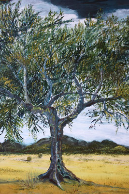 Ausschnitt "Andalusien"