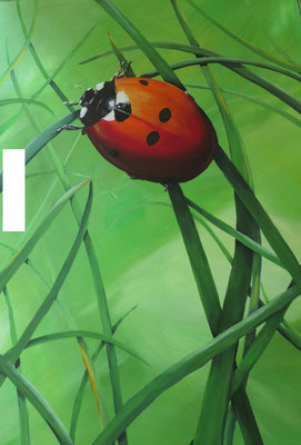  Gemeinde Ensdorf/Projekt "Atmosphäre-Check", Verschönerung der Verteilerkästen/ Bild "Marienkäfer"
