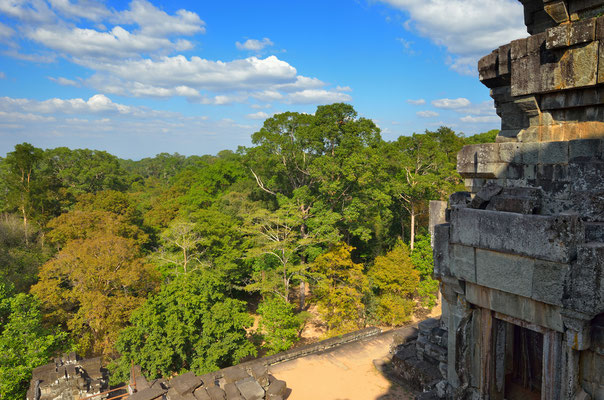 Der Dschungel Tempel Phnom Da
