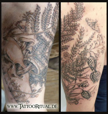Tattoo Rostock, TattooRitual, Tattoo Farn, Tattoostudio Rostock