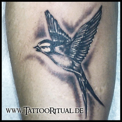 Tattoo Rostock, TattooRitual, Tattoo Vogel, Tattoostudio Rostock