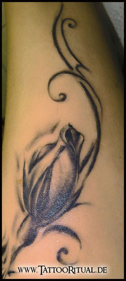 Tattoo Rostock, TattooRitual, Tattoo Rosenknospe , Tattoostudio Rostock