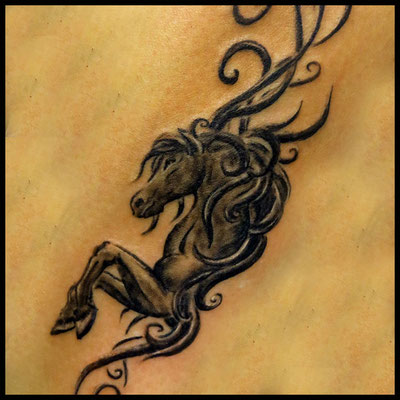 Tattoo Rostock, TattooRitual, Tattoo Pferd, TattooRitual Rostock, Tattoostudio Rostock