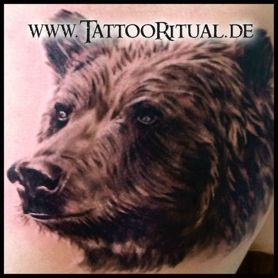 Tattoo Rostock, TattooRitual, Tattoo Bär, Tattoostudio Rostock