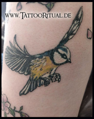 Tattoo Rostock, TattooRitual, Tattoo Blaumeise, TattooRitual Rostock, Tattoostudio Rostock