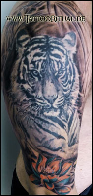 Tattoo Rostock, TattooRitual, , Tattoo Tiger mit Lotus, Tattoostudio Rostock