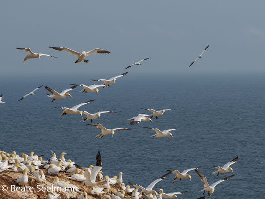 Segeln im Aufwind